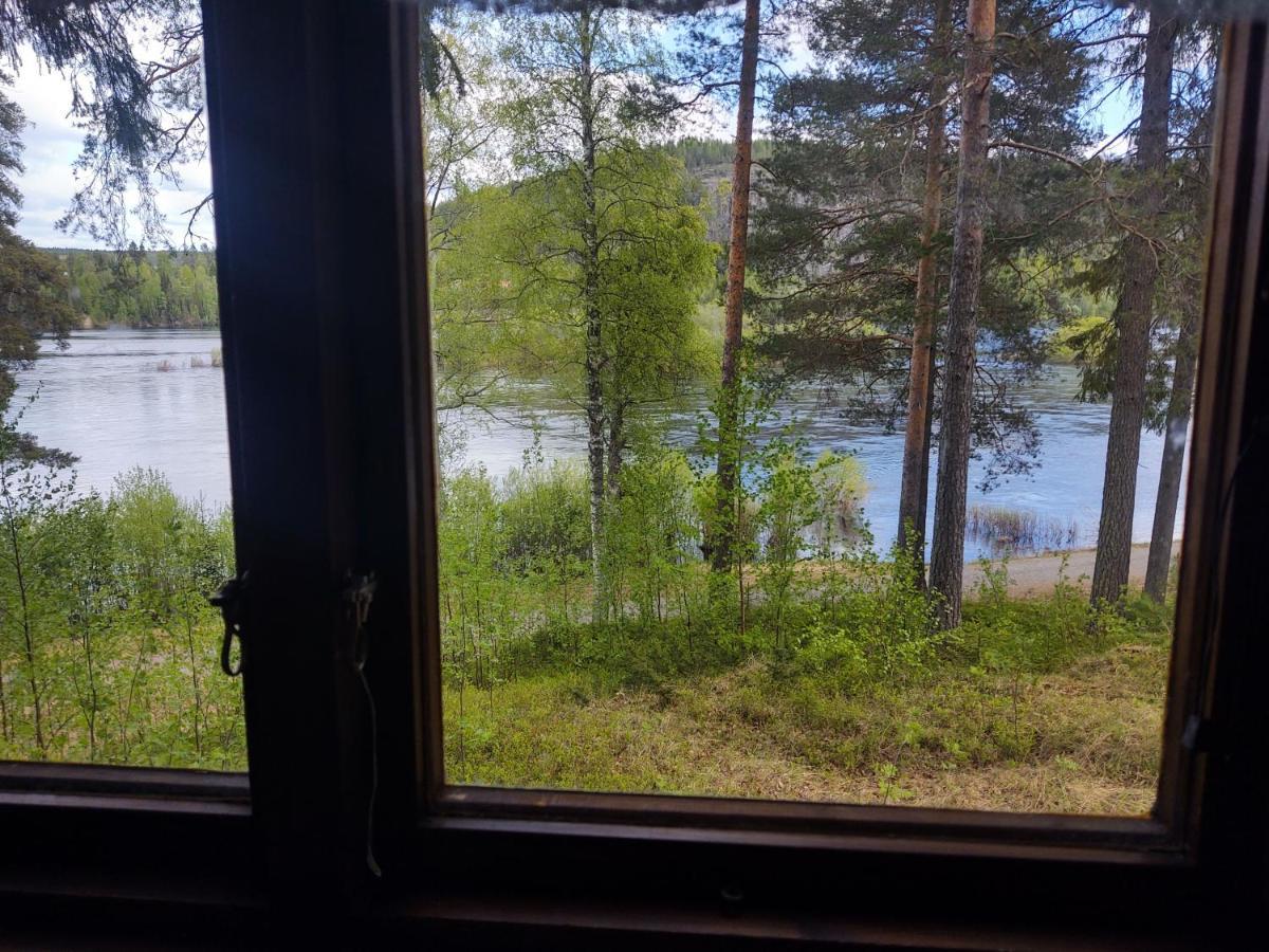 Selholmens Camping Alvsbyn Luaran gambar